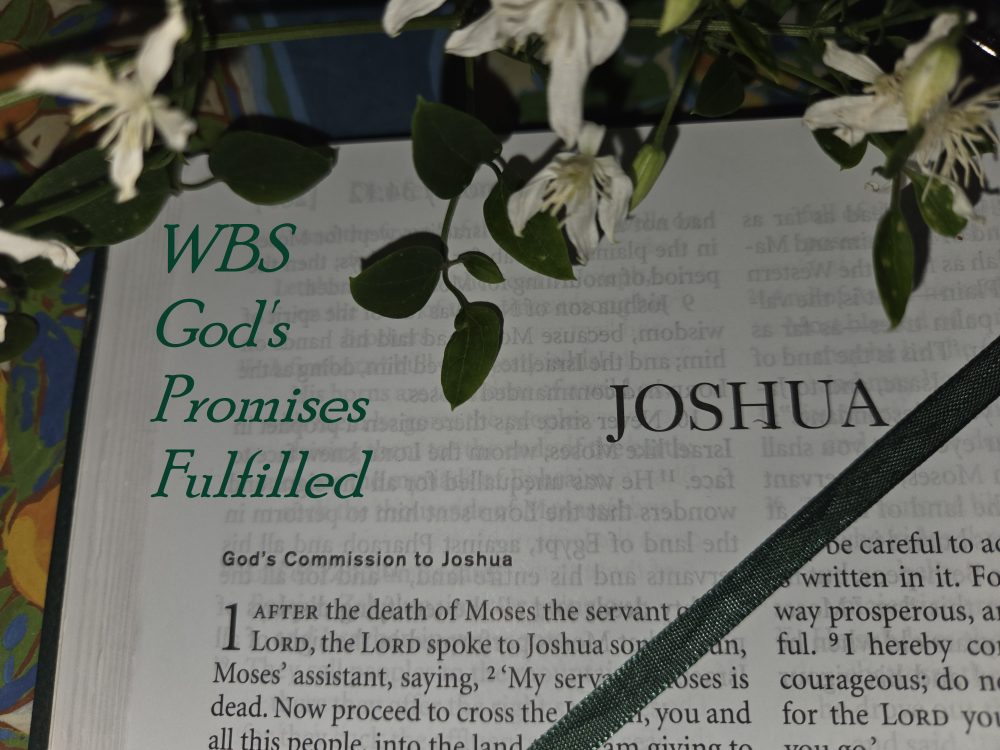 God\'s Promises Fulfilled: A Study of Joshua & Ruth 